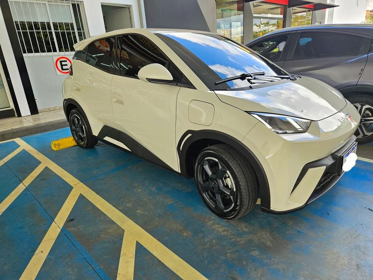 BYD Dolphin Mini (Elétrico) 2024