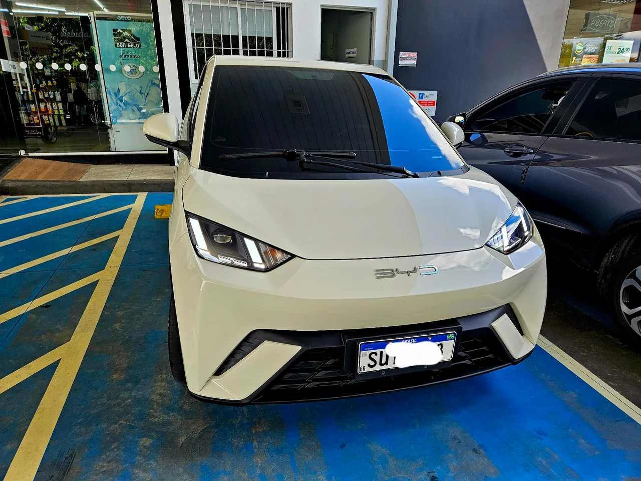 BYD Dolphin Mini (Elétrico) 2024