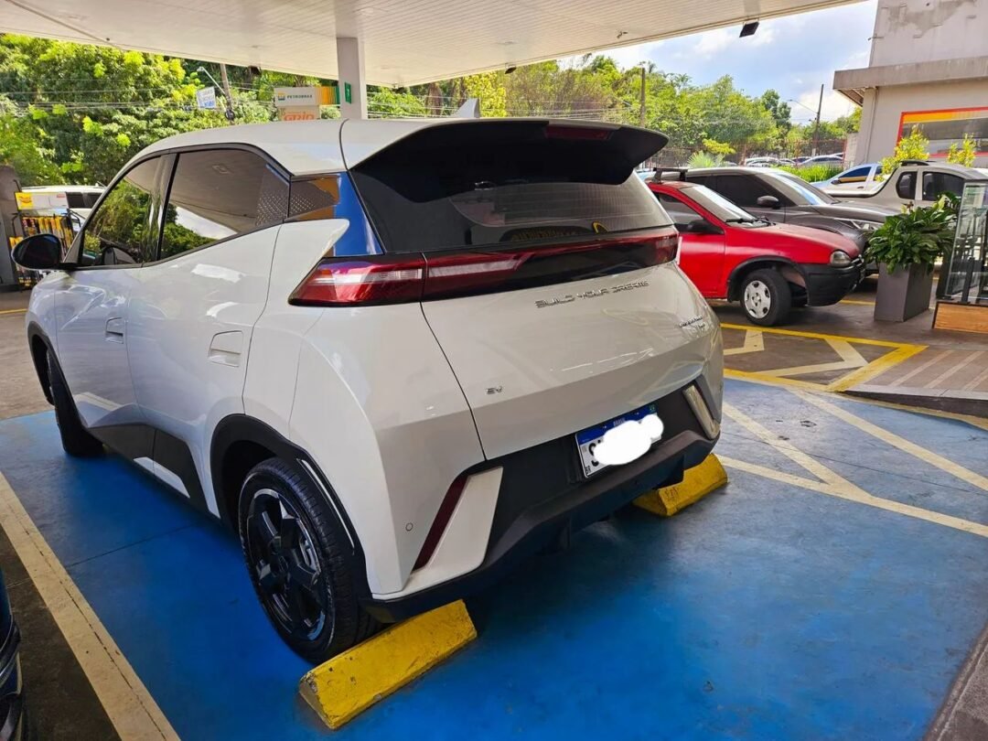 BYD Dolphin Mini (Elétrico) 2024