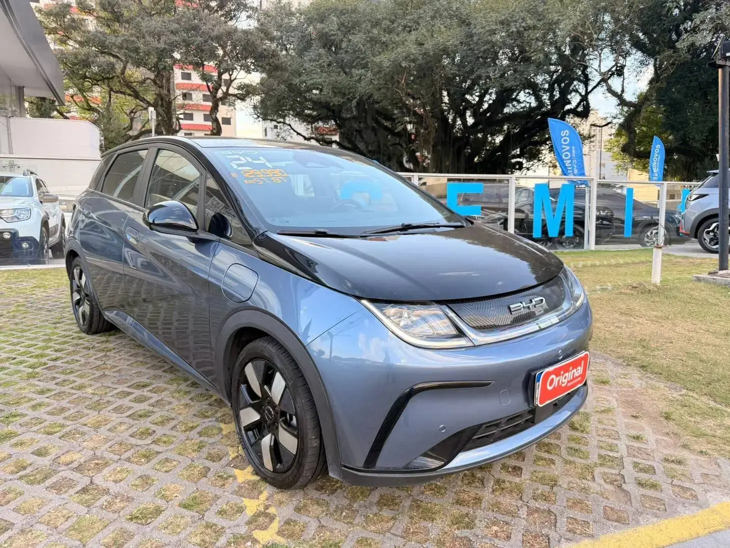 Dolphin Plus (Elétrico)