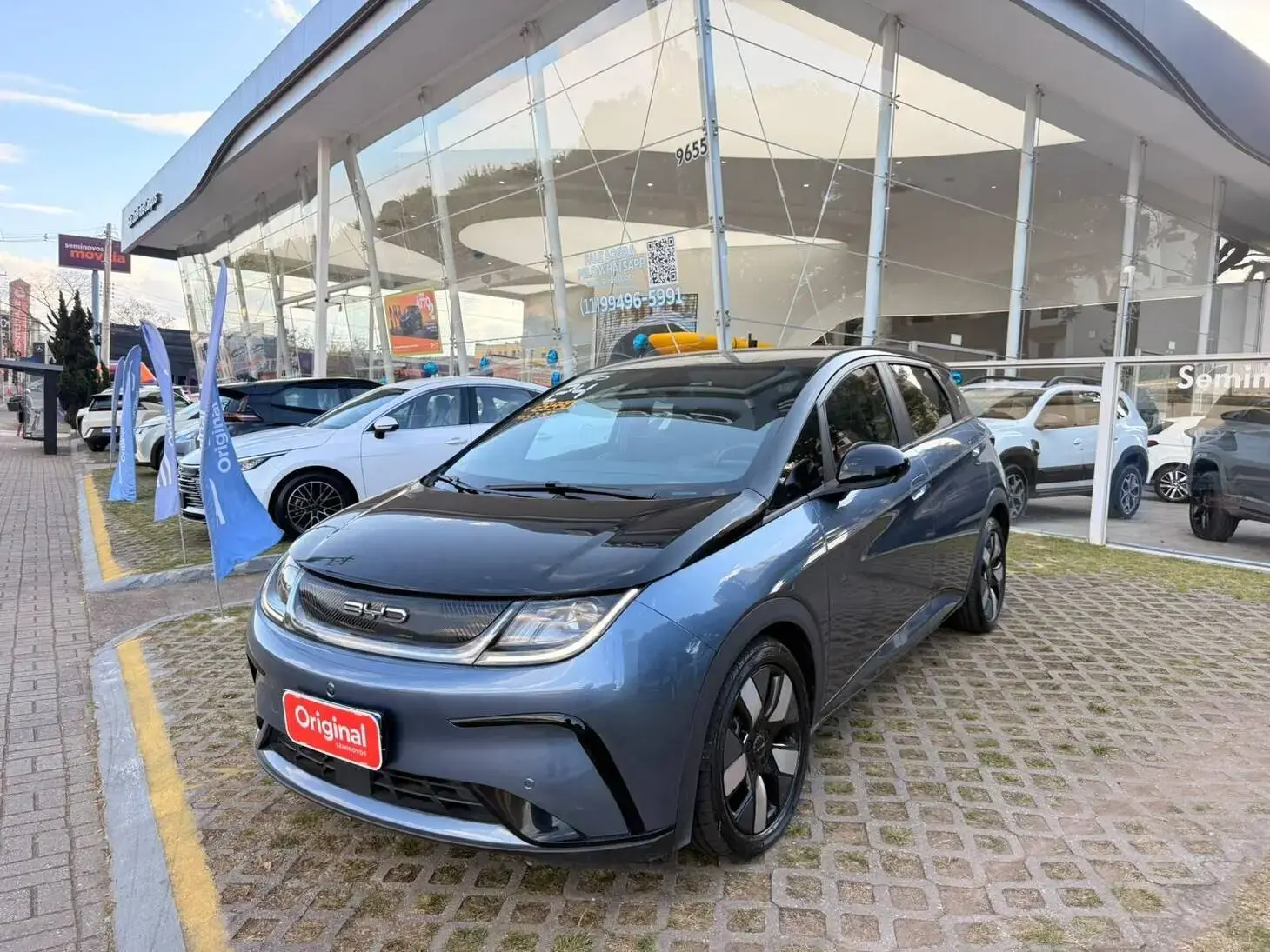Dolphin Plus (Elétrico)