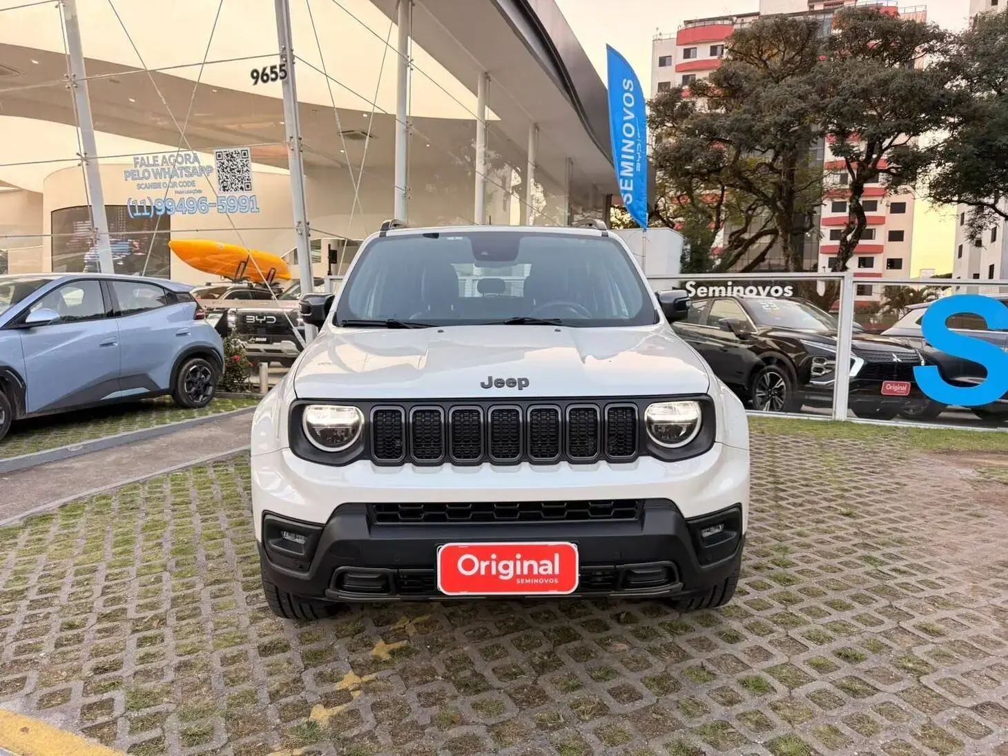 Renegade Série S T270 4×4 AT9