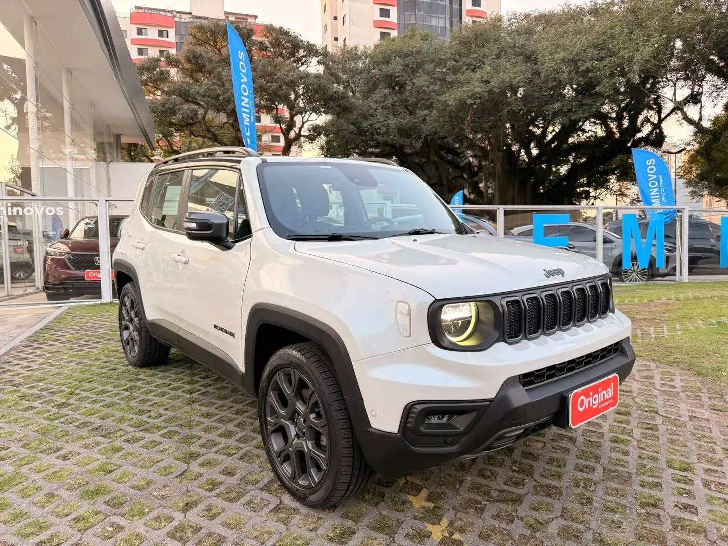 Renegade Série S T270 4×4 AT9