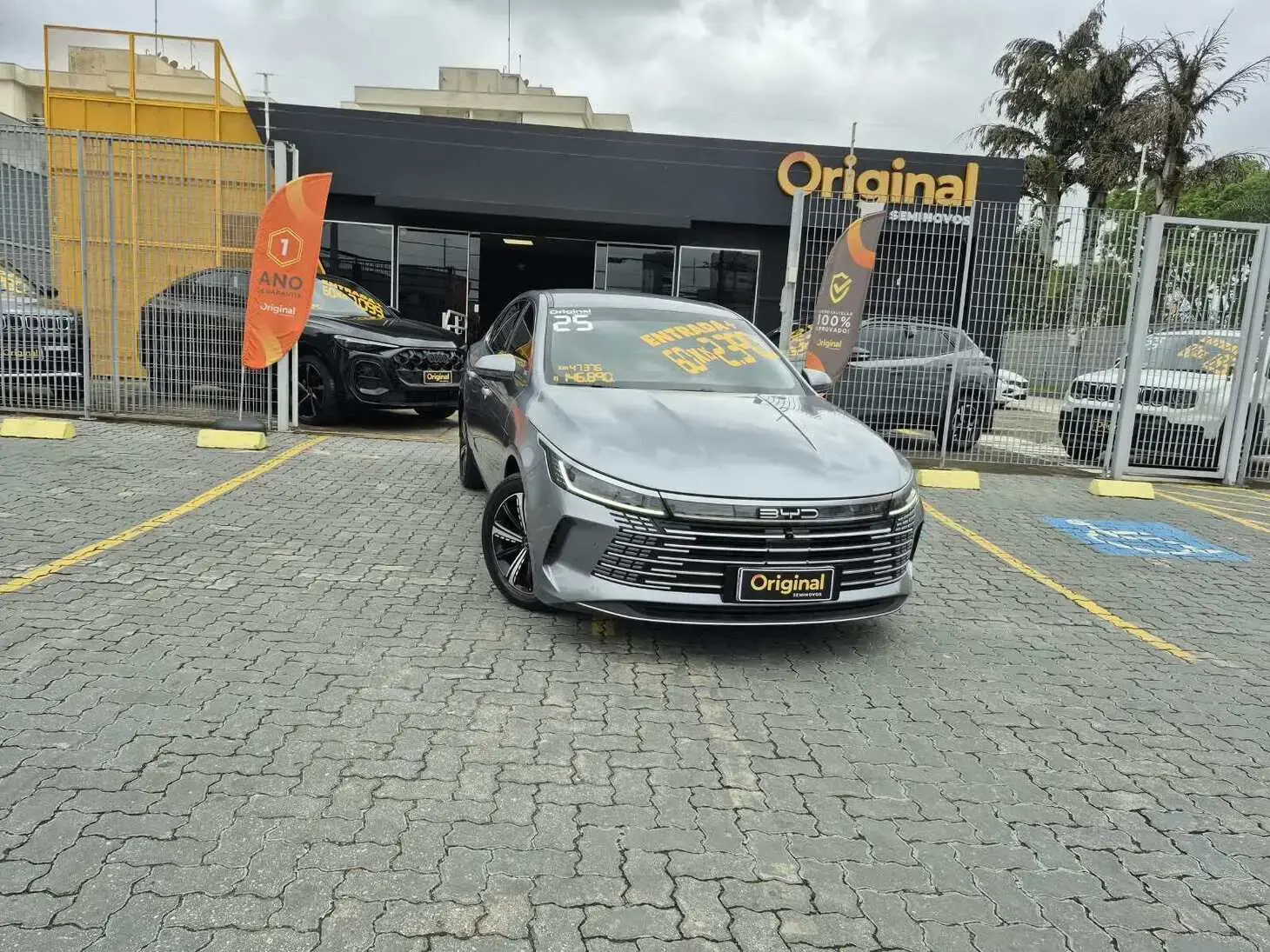 King DM-i GS
